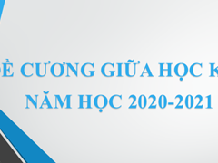 Đề Cương Giữa Học Kì II Năm Học 2020-2021